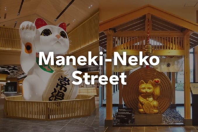 Maneki-Neko Street