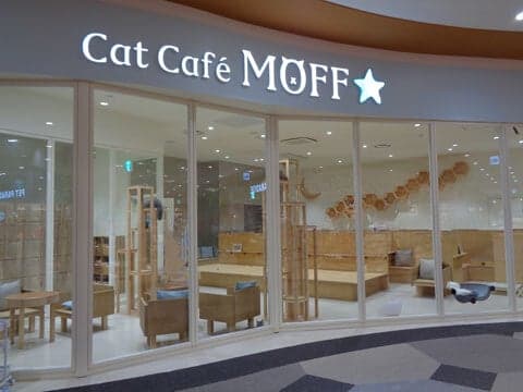 Cat Café MOFF