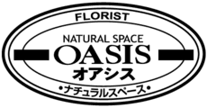 FLORIST OASIS