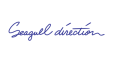 Seagull direction