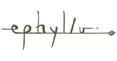 ephyllu