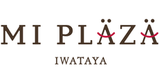 MI PLAZA