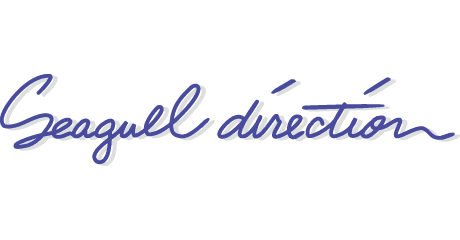 Seagull direction