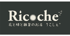 Ricochet