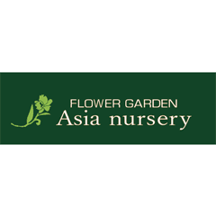 Asia nursery