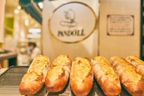 PANDOLL