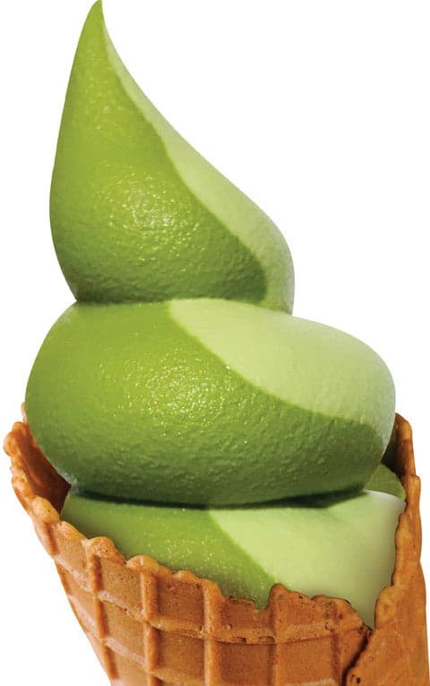 FUJIOKAEN