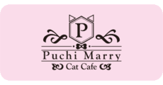 Catcafe Puchi Marry