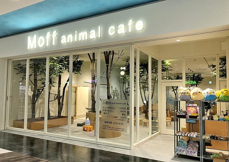 Moff animal cafe