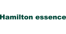 Hamilton essence