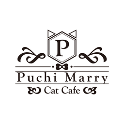 Puchi Marry